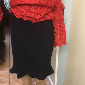 Ann Taylor Flared Skirt